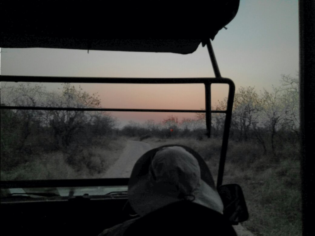 A dirt track at first light seen over the bonnet of a safari vehicle in Ruaha