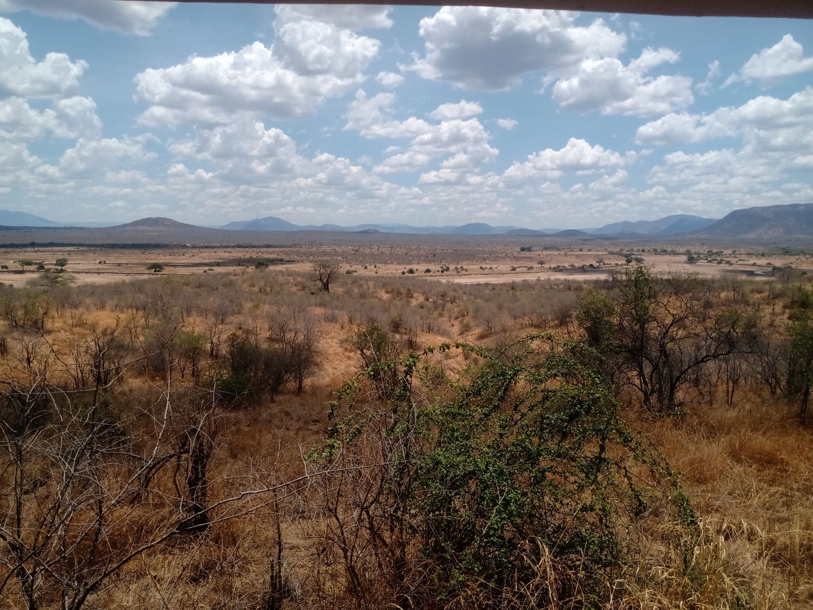 Dry season panorama over bush to distant hills in Ruaha National Park