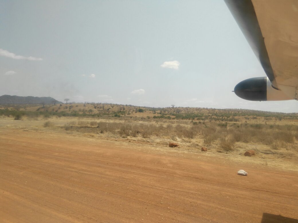 Small plane wing at a bush airstrip, Ruaha National Park